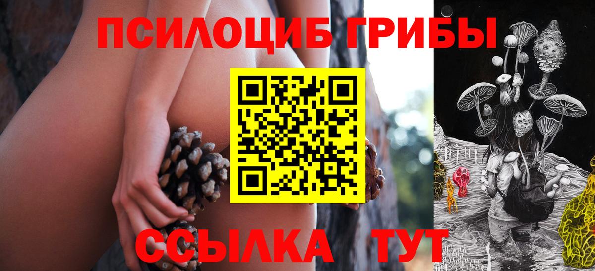 Галлюциногенные грибы прущие грибы Сухой Лог